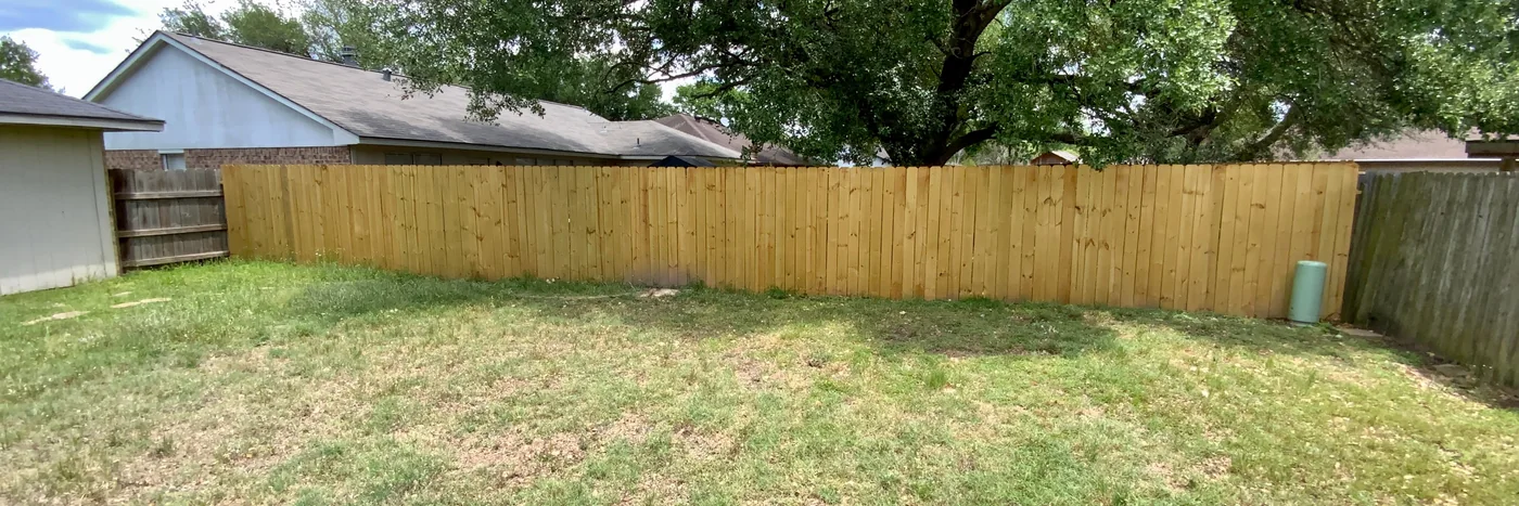 A small fenced suburban backyard with a shade tree and patchy grass