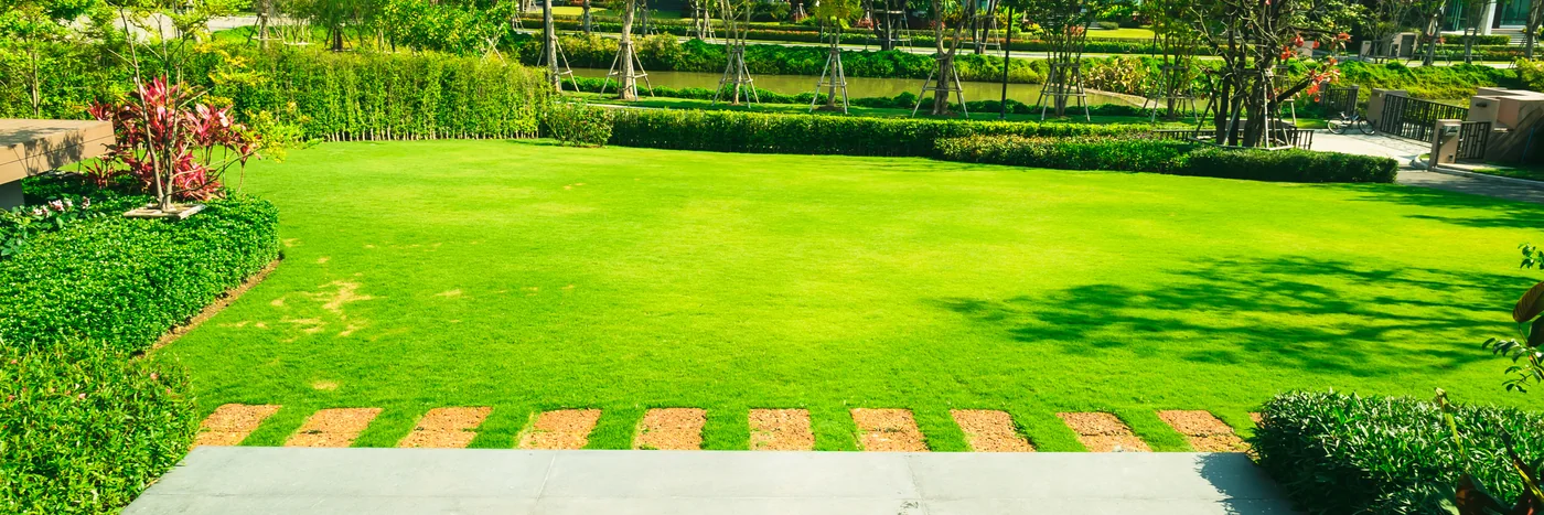 A lawn divided by a brick pathway, showing a hard mowing boundary