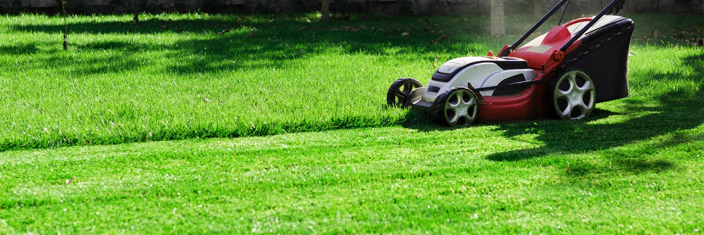 A person pushing a walk-behind mower across a green lawn